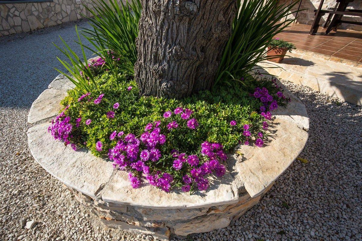 Holiday Home Fasana Fazana Exterior photo